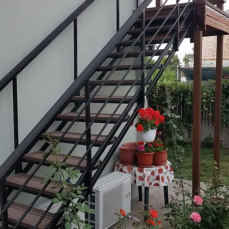 Vilele Brise De دووا مايْ