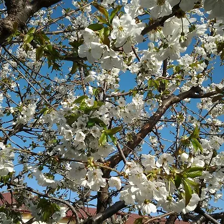 Gasthof Vilele Brise De Mer 3*