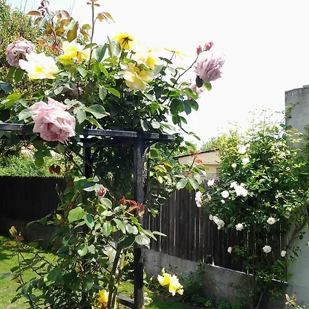 Vilele Brise De Mer Gasthof 3*