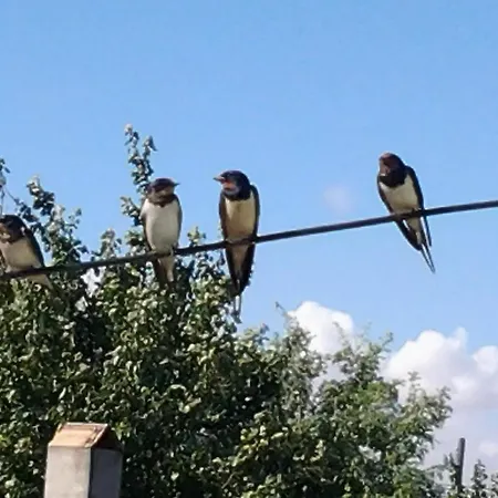 Gasthof Vilele Brise De Mer 3*